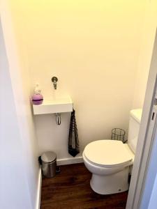 Studio Keeks in hartje Oostende