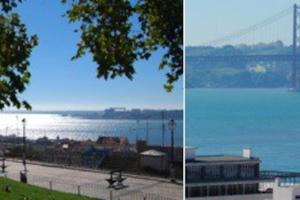 Cozy Studio in Stª Catarina