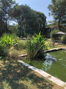 B&B / Chambres d'hotes La Bastide De Negra : photos des chambres