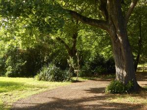 B&B / Chambres d'hotes Clos du Bois Brard B&B : photos des chambres