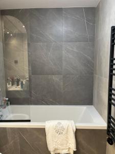 Herăstrău Park apartment