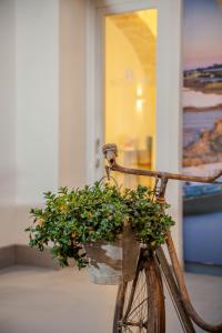 Residenza San Giovannello