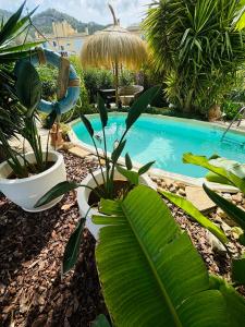 Casita Limón Andratx