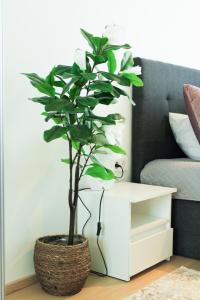 SkyResidence Luxury Apartment With City & Garden View