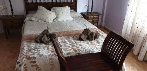 Las Arboledas alojamiento rural