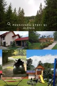 Casa Stefi si Alexia - Racovita Cerna