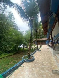 Apêzinho Juquehy - Litoral Norte - SP