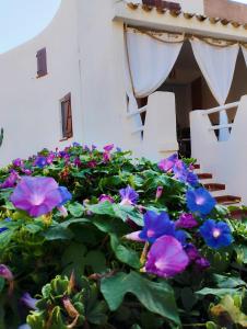 Villa Anna 300 m dal mare img11