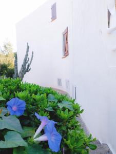 Villa Anna 300 m dal mare img36