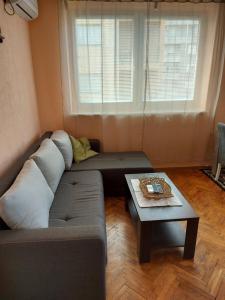 Apartman Dunja, Vrnjačka Banja