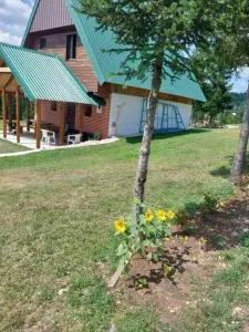 House in forest - Podgora