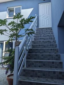 T2 na Praia da Costa Nova - Yellow Door