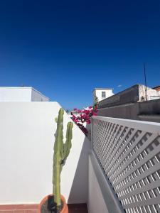 Casa Tropical - maison typique dans le centre historique dOlhao