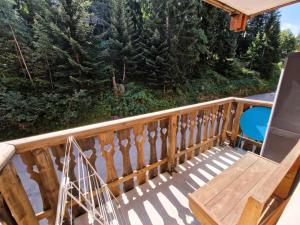 Résidence Melezets 2 - Studio 34 personnes coeur station 19m² MAE-2975