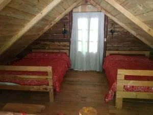 montaña viviente - Xicotepec de Juárez