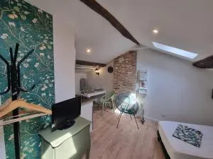 Le Studio du Docteur Privey - Free & secure Park Bike - Voie Bleue - 图尔尼