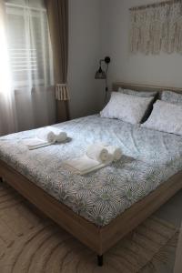 Gaby Family House Concept