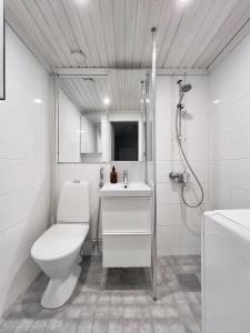 Fabulous Central Apartment Helsinki