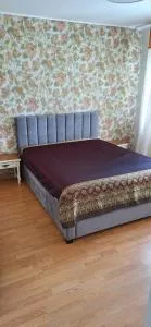 Roberto dangaus apartamentai - Zujūnai