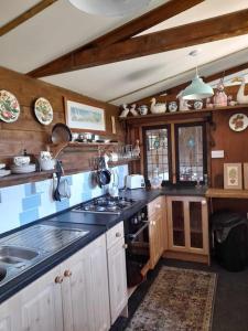 Puddle Duck Peeps Out Chalet