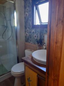 Puddle Duck Peeps Out Chalet