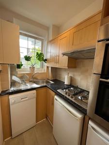 London Bridge Apartment