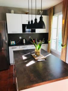 Appartements Gite de standing climatise : photos des chambres