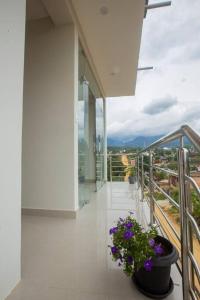 ALPAs HOUSE - Hermoso y tranquilo