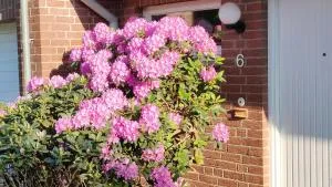 Sterne Luxus Heidesonne - Jesteburg