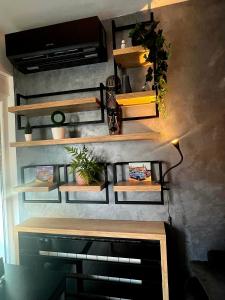 LUX Apartment A&M Netflix