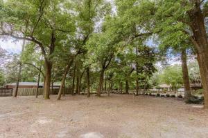 The Peacock - Artsy East Hill Getaway