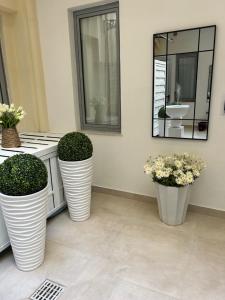 Casa Lounge Costituzione img92