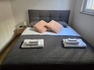Apartman Viktoria