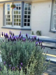 殖民露台汽车旅馆 - Tarro