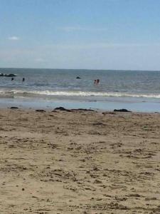 Apartamento muito gostoso a 20 m da Praia