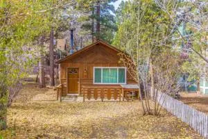 Bear Forest Hideaway, 5 Bed's, Indoor Fireplace! - Sugarloaf