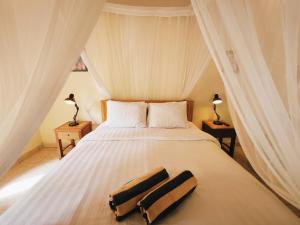 Design private house in the rice fields