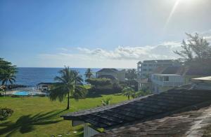 Palms By The Sea