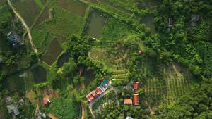 Mây Trắng Villa and FarmStay