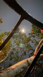 Kokamah selva ecologi - Praia Dourada