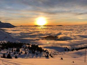 Appartements Studio cabine superieur proche pistes, 4 pers, balcon sud, casier a ski - FR-1-771-76 : Appartement