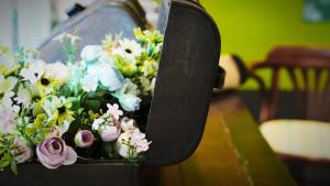 good farming day bandb