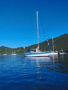 Reves d'antilles dormir sur l'eau au milieu des tortues - Les Anses-dʼArlets