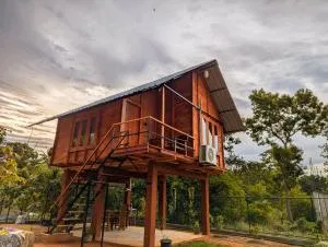 Lion Wood Treehouse - Talkote