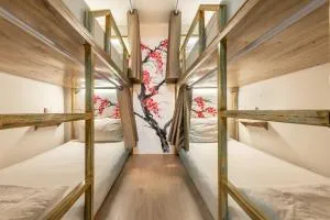 โรงแรมชิบะรูม นครราชสีมา สาขามหาวิทยาลัยเทคโนโลยีสุรนารี - Ban Krok Duan Ha