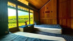 River mountain view homestay