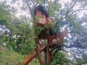 Mekkarai Tree House - Tenkāsi