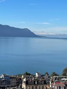 Appartement centre vue lac Léman