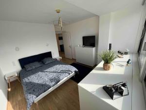 Plein centre-ville T2 refait à neuf