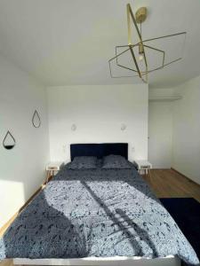 Appartements Plein centre-ville T2 refait a neuf : photos des chambres